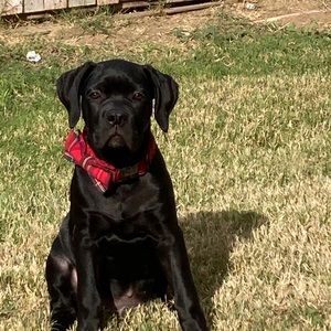 Meet your Posher, Janelle